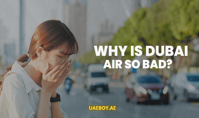 Why is Dubai Air Quality So Bad