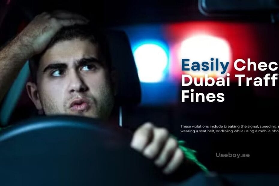 Easily Dubai traffic Fines Check