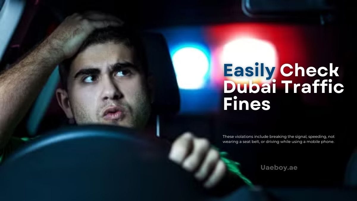 Easily Dubai traffic Fines Check