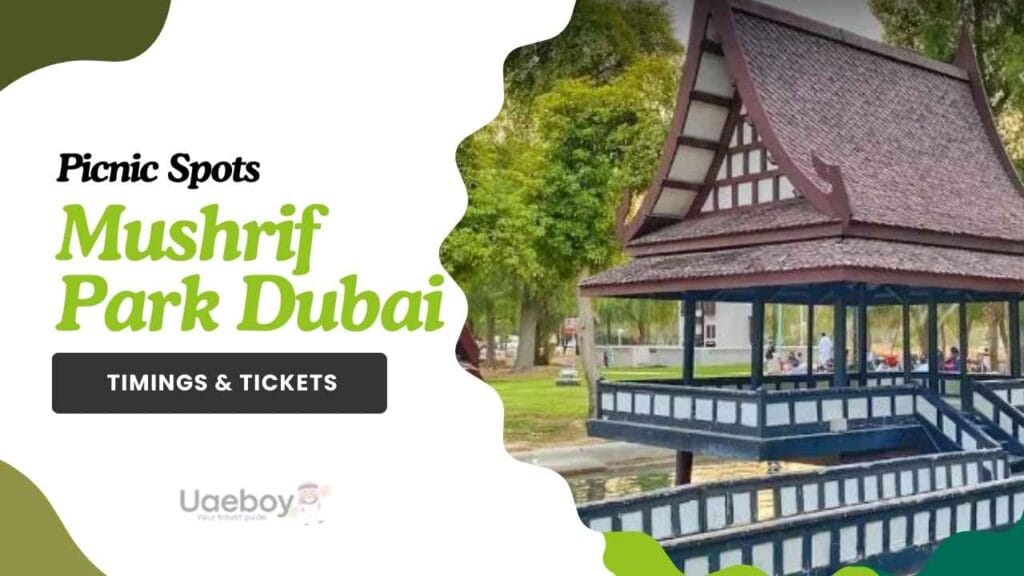 Mushrif Park Dubai Adventure | The Ultimate Destination for Fun - Uaeboy